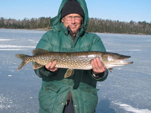 Northern Pike