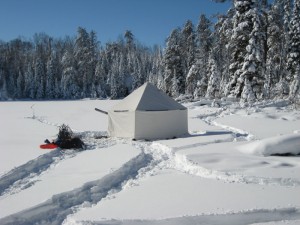 Fresh Snow Fall